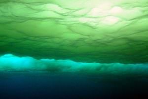 Arctic Ocean Plankton Blooms Beneath The Ice